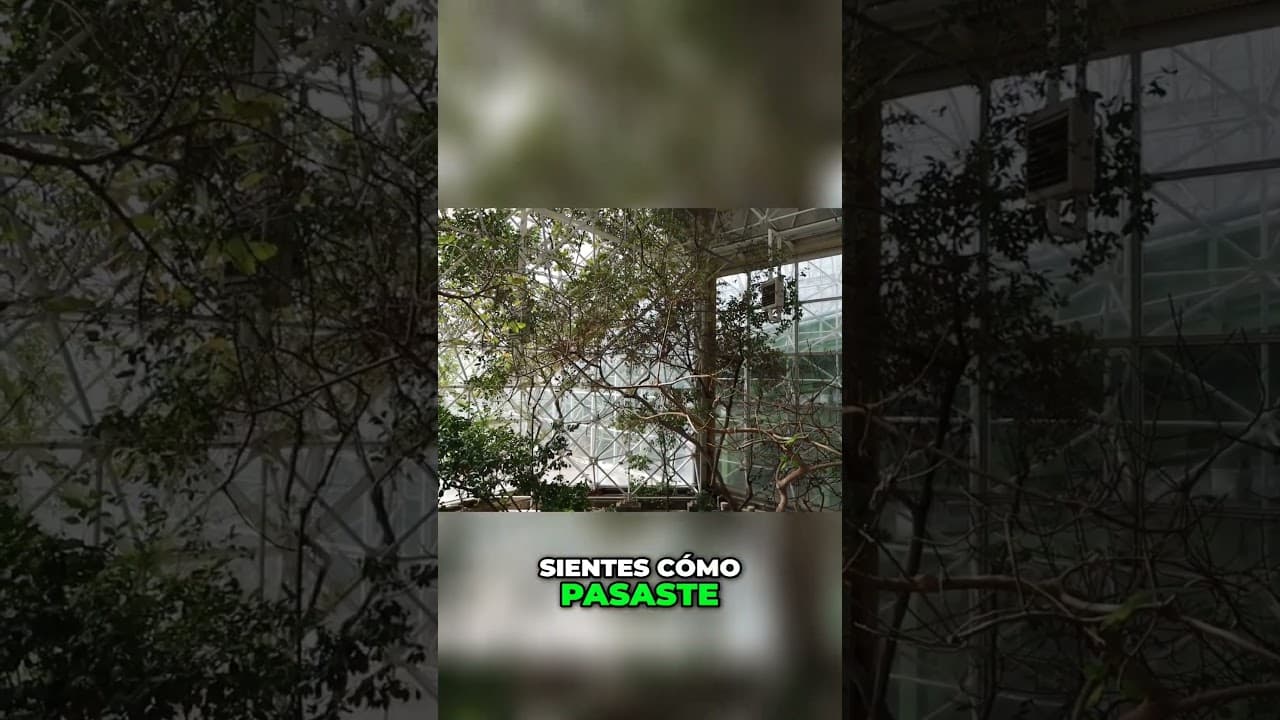 Biosfera 2 🌎
