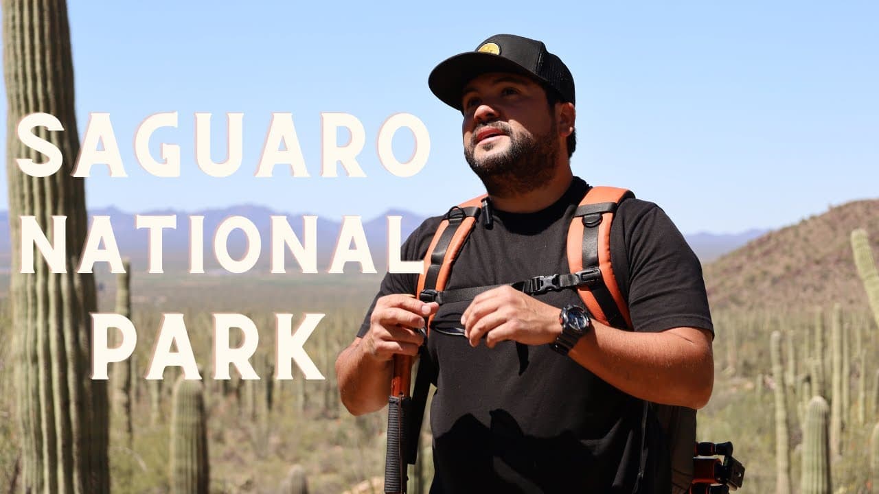 Saguaro National Park: senderismo entre cactus gigantes en Tucson