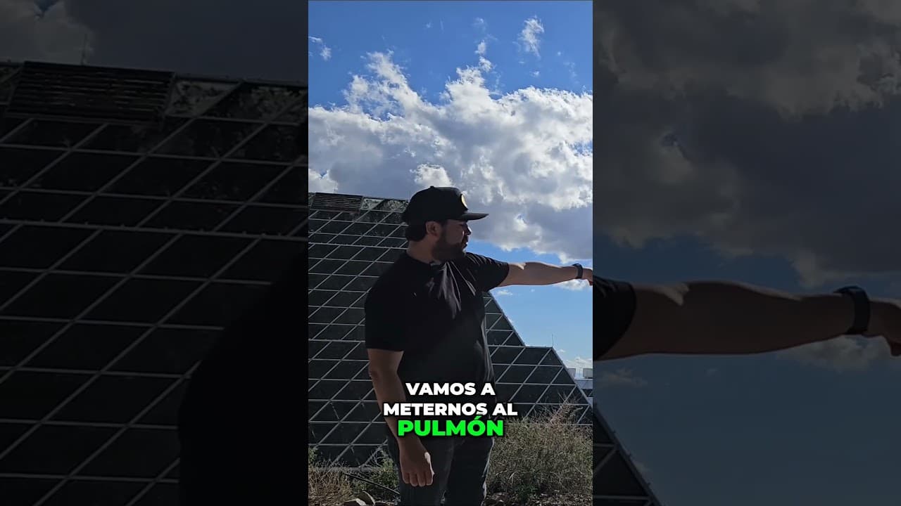 Un experimento de los 90's