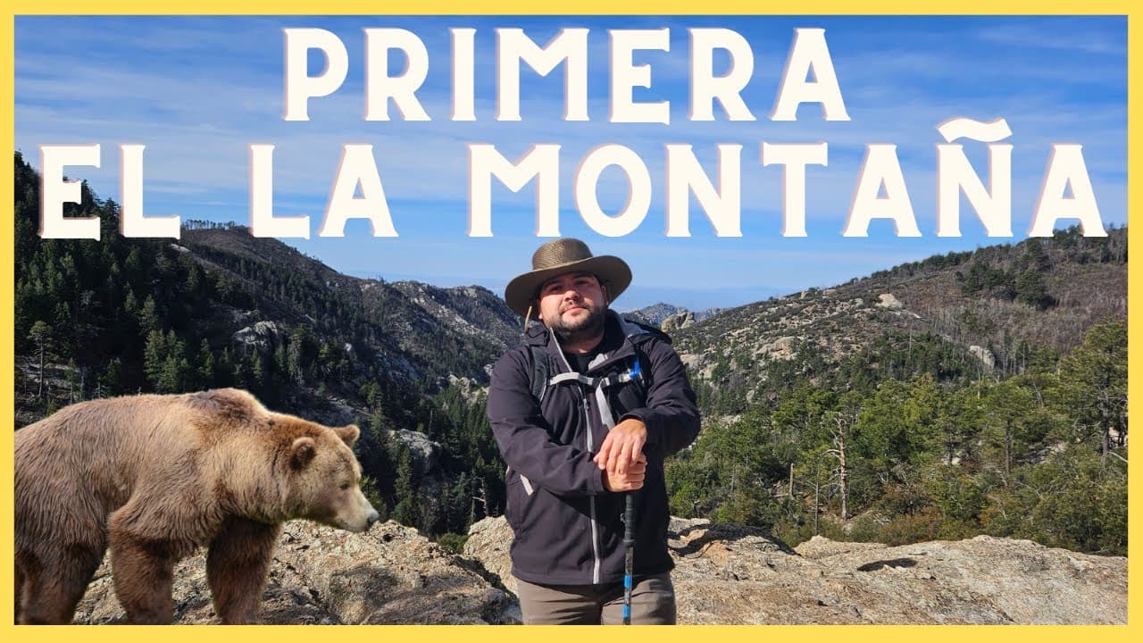 Mt. Lemmon en Tucson: senderismo y bosque a una hora de la ciudad