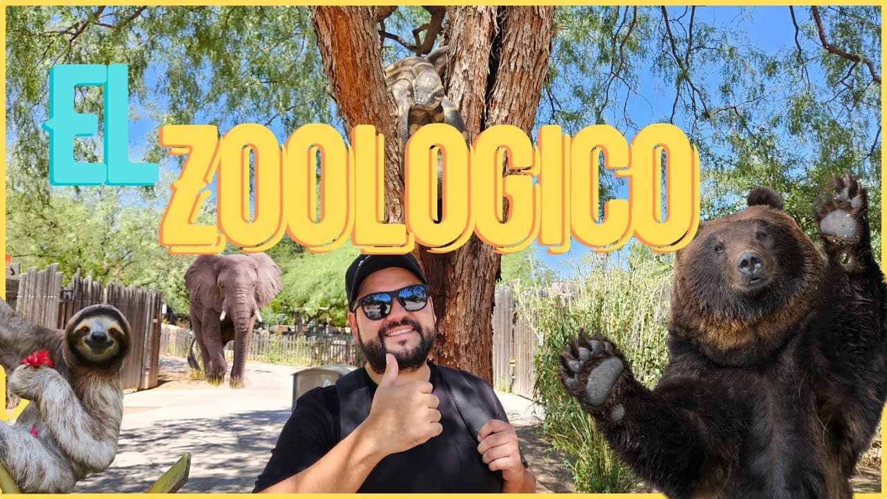Recorrimos todo el zoológico de Tucson | Reid Park Zoo