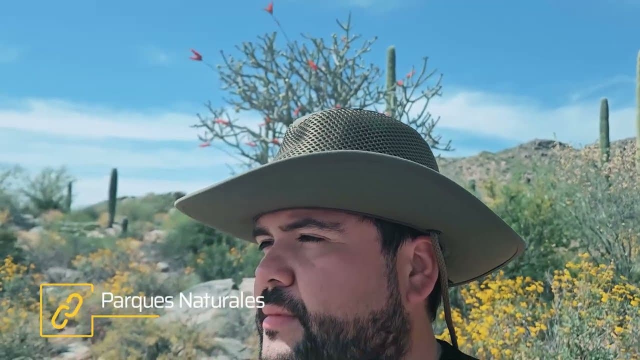 ¿Cómo es vivir en Tucson, Arizona? | Conoce la ciudad conmigo