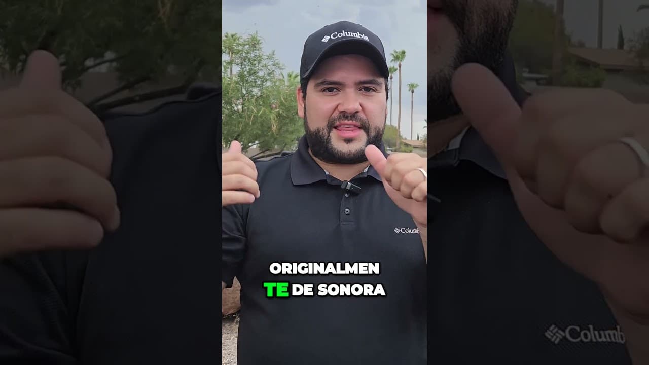 El HotDog #1 EL SONORENSE!! 🌭Quien esta de acuerdo?🤔💭