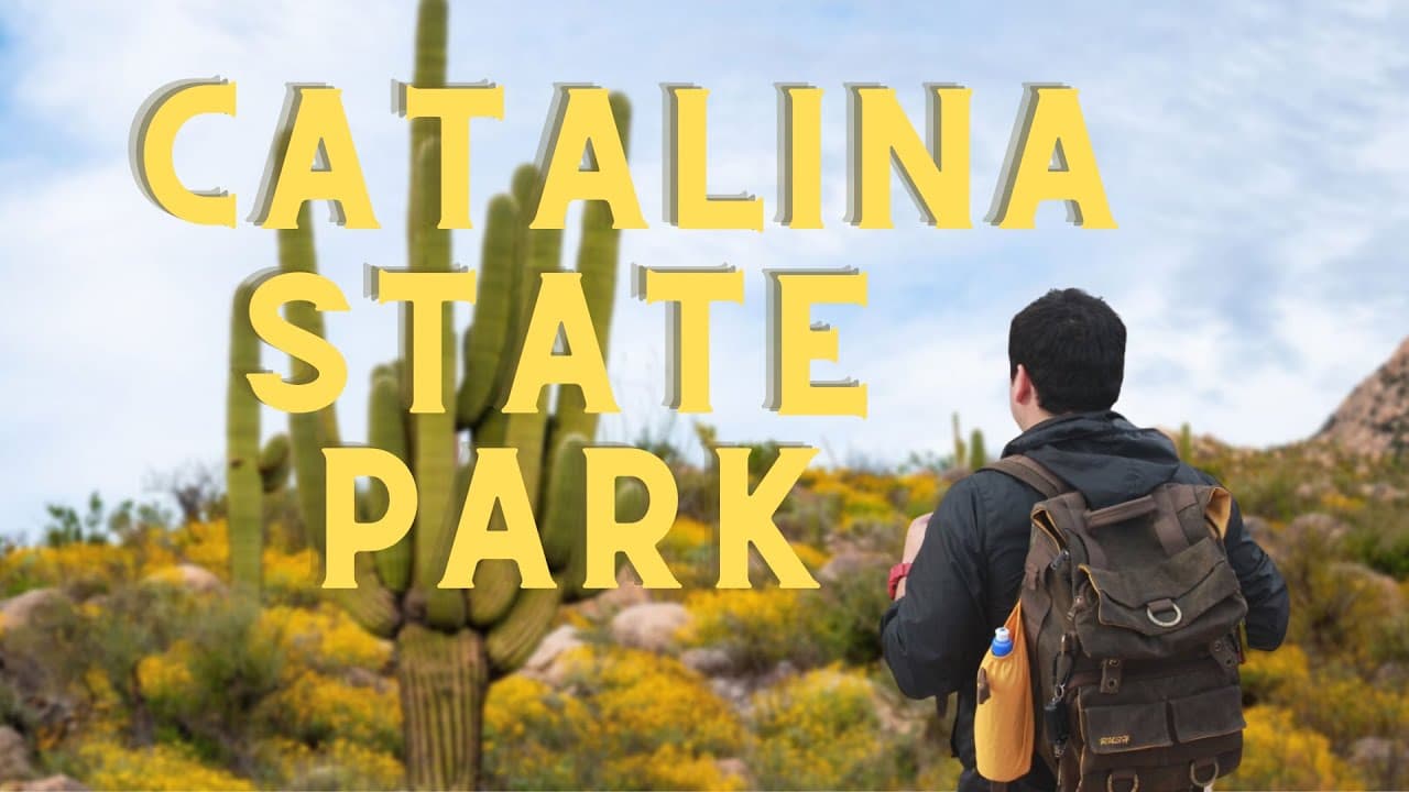 Catalina State Park: ¿Qué hacer? | Senderismo en Tucson, Arizona