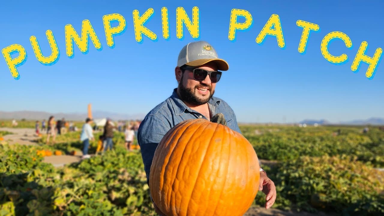 Marana Pumpkin Patch: qué hacer en otoño con niños cerca de Tucson